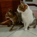 Almendra Pizarro - @almendra.pizarro
