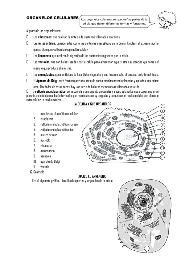 la celula