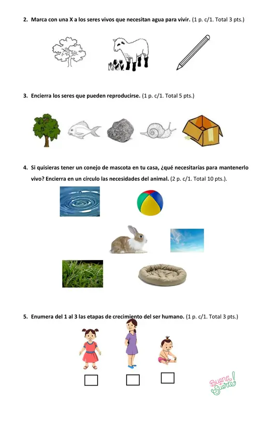 Prueba de Ciencias Naturales Primero básico "Los sentidos" Unidad 1-