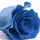 Kathe - @kathe4