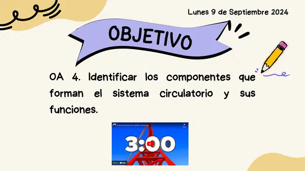 Sistema Circulatorio 5°año Básico