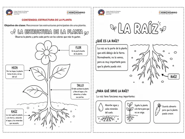 Estructura de la planta 