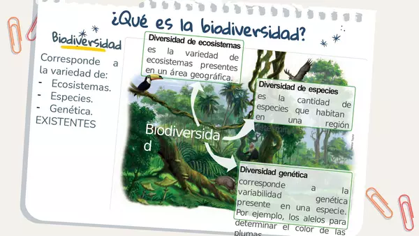 Clase número 1: Evolución y biodiversidad. 