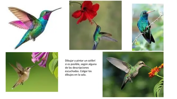 Lección 14 Picaflor Parte 2 Mayúsculas Método Matte