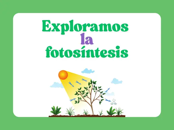 Exploramos la Fotosíntesis