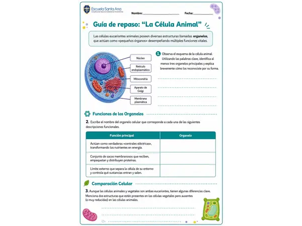 Guía de repaso de la Célula animal