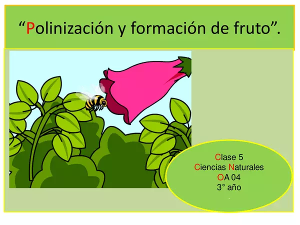Polinización y formación de un fruto