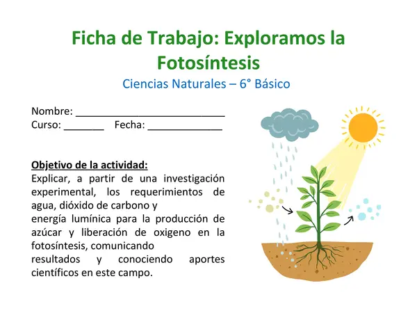 Exploramos la Fotosíntesis