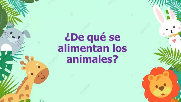 ppt alimentación de los animales primero básico.