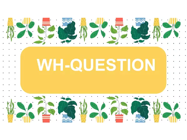 WH-Questions