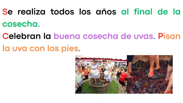 Circuito 2: Fiestas típicas de Chile