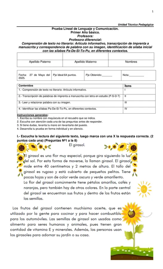 Prueba artículo informativo, letras P-S-D-T