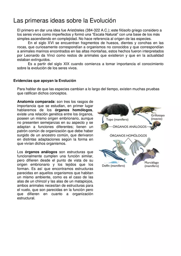 GUIA TEORIAS DE LA EVOLUCION, 4 MEDIO, ELECTIVO , BIOLOGIA DE LOS ECOSISTEMAS