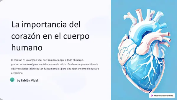 Corazón en el cuerpo humano