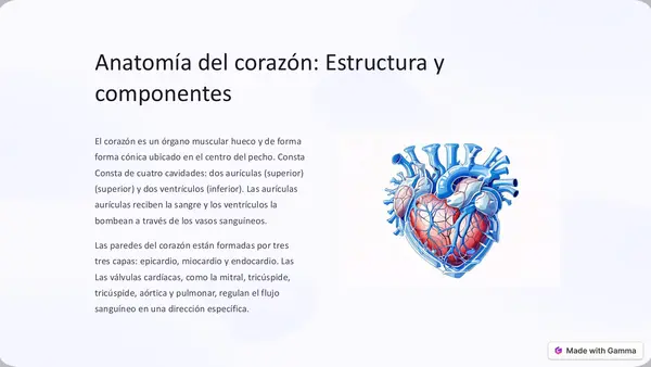 Corazón en el cuerpo humano