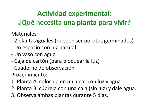 Exploramos la Fotosíntesis