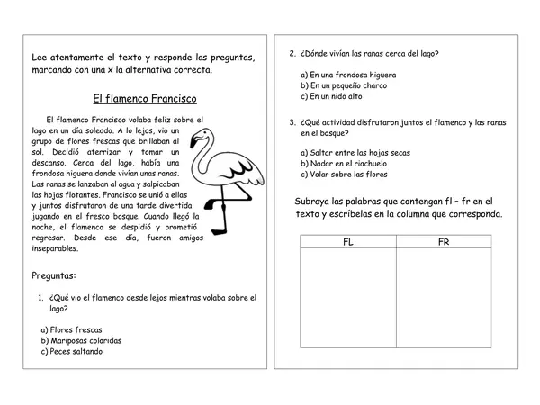 LECTURA FR/FL "EL FLAMENCO FRANCISCO"