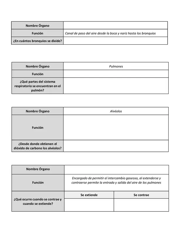 Practica guiada: Procesos del sistema respiratorio