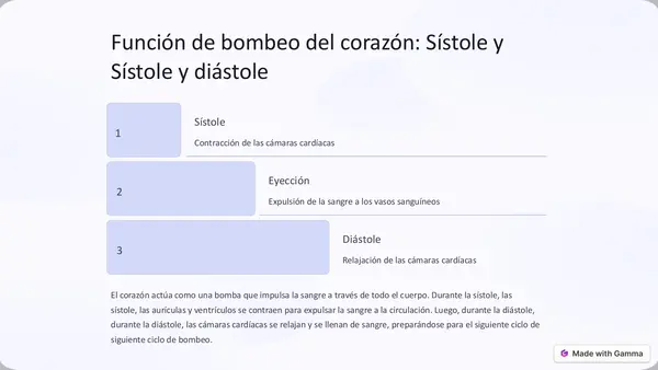 Corazón en el cuerpo humano