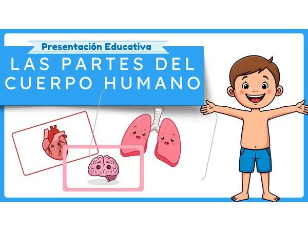Partes del cuerpo humano