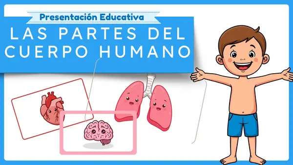 Partes del cuerpo humano