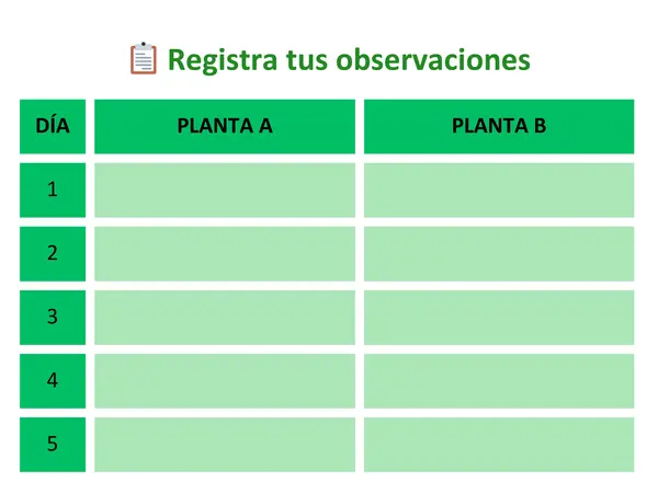 Exploramos la Fotosíntesis