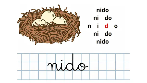 SEGUNDO DÍA LECCIÓN NIDO