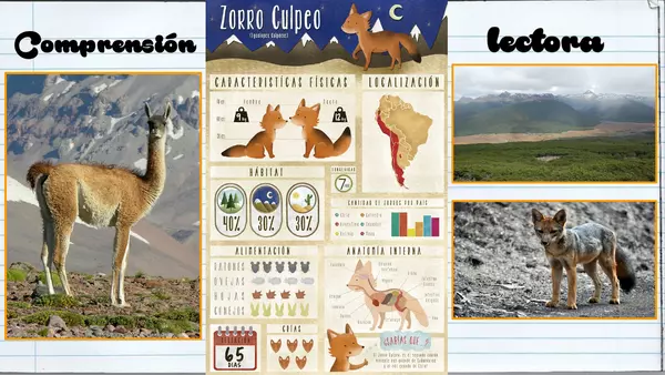 Comprensión lectora zorros y guanacos de la patagonia