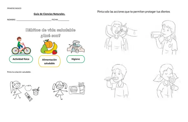 Guía hábitos de vida saludable 1° Básico.