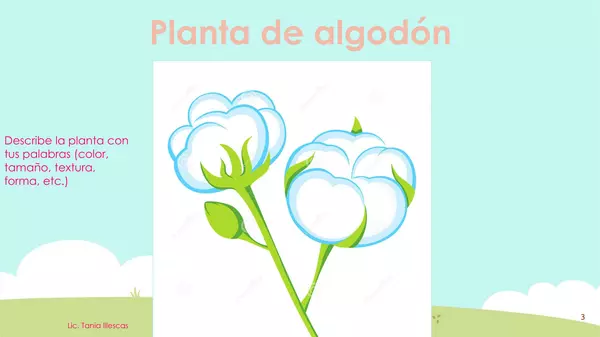 Las Plantas - Preescolar 1