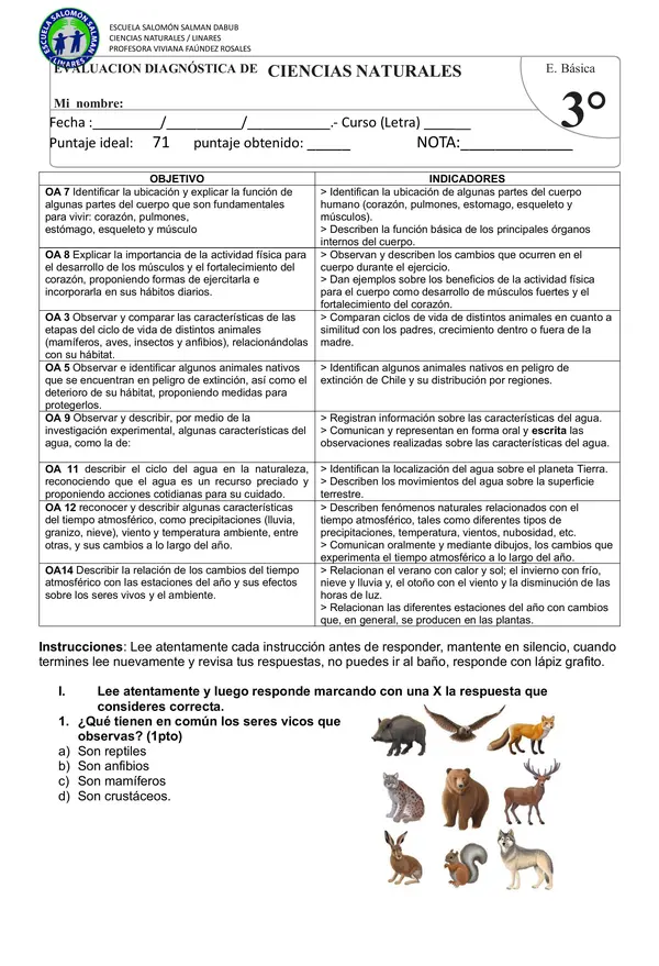 DIAGNÓSTICO CIENCIAS 3RO BÁSICO