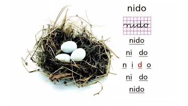 SEGUNDO DÍA LECCIÓN NIDO