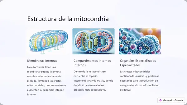 Introducción a las mitocondrias