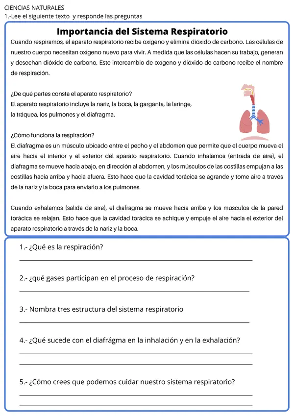  Ficha de Ciencias Naturales: Sistema Respiratorio - Unidad 3 Vida Saludable