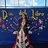 Daniela Moraga Campos - @profe.danii