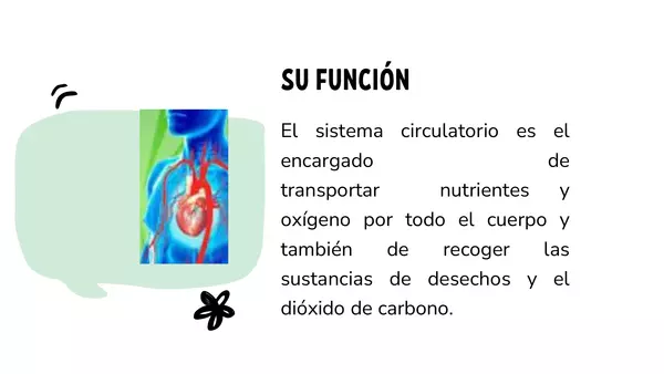Ppt sistema circulatorio