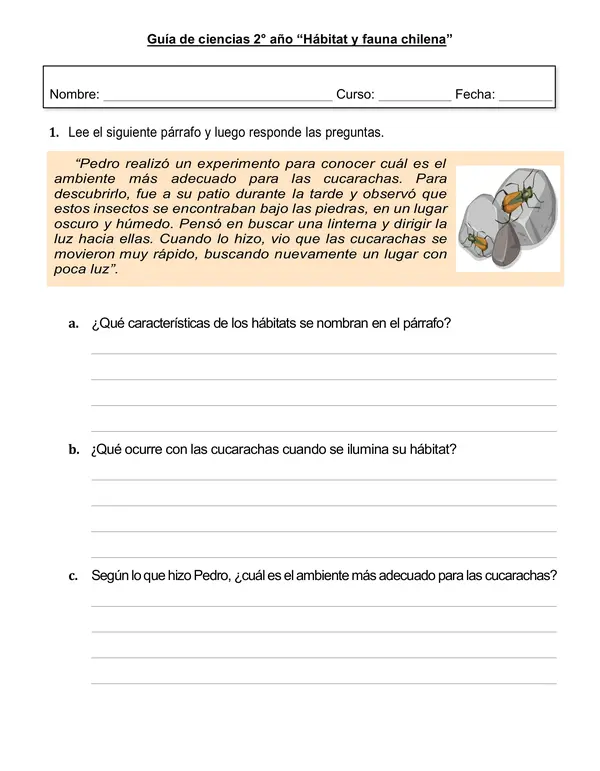 Guía de ciencias 2°año "Comprender un hábitat y fauna chilena"