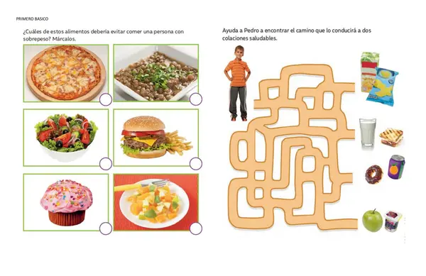 Guía hábitos de vida saludable 1° Básico.