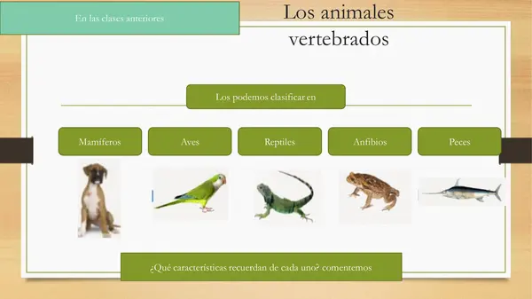 Ciclo de Vida en Animales: Mariposas, Anfibios y Metamorfosis"primero Basico