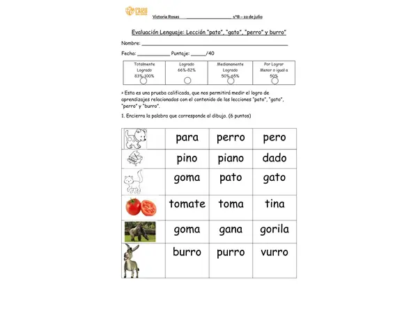 Prueba lección “pato”, “gato”, “perro” y burro” método Matte