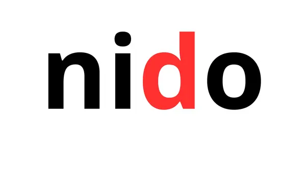 SEGUNDO DÍA LECCIÓN NIDO