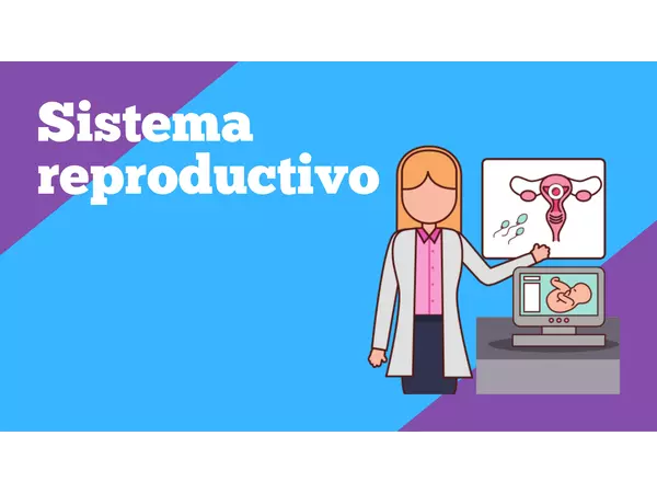 Sistema reproductivo 