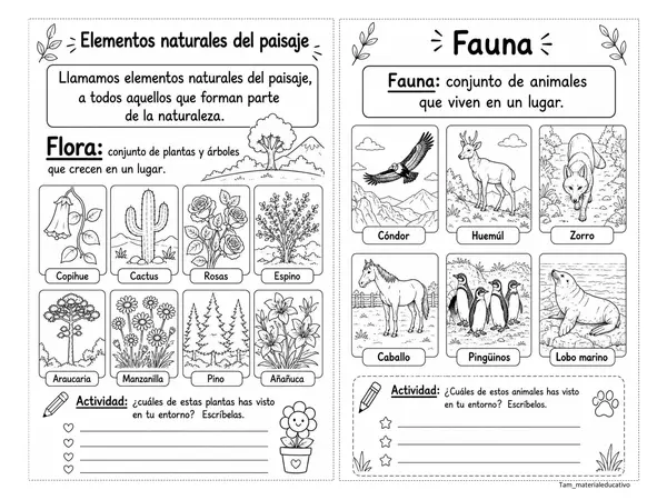 Elementos naturales y culturales del paisaje 1° básico