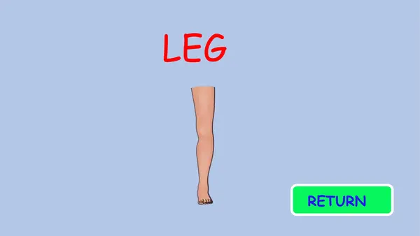 Ruleta interactiva "Body parts"