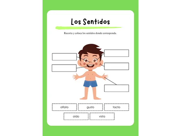 Los sentidos