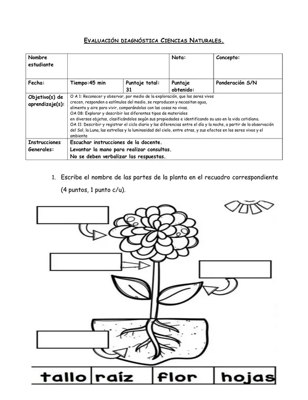 Evaluación Diagnóstica de Ciencias Naturales - 2° Básico (Editable).