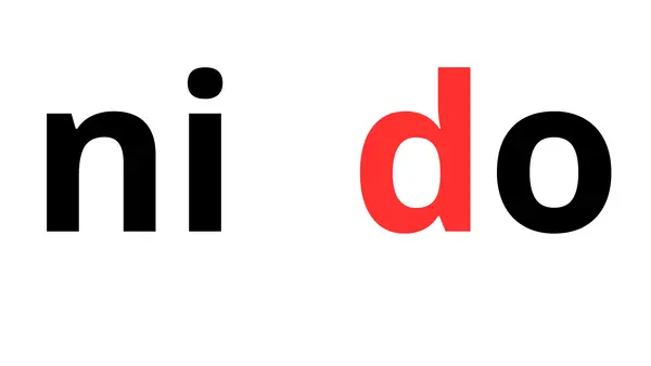 SEGUNDO DÍA LECCIÓN NIDO