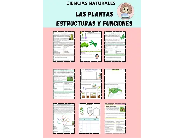 Las Plantas, su estructura y funciones