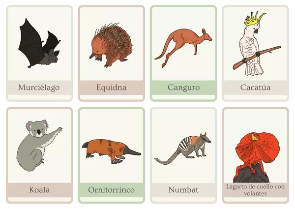 Tarjetas con Ilustraciones: Animales (Parte 5)