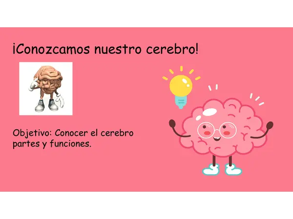 El cerebro